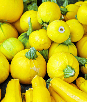 Yellow Zucchini - Vegetables that start with Y