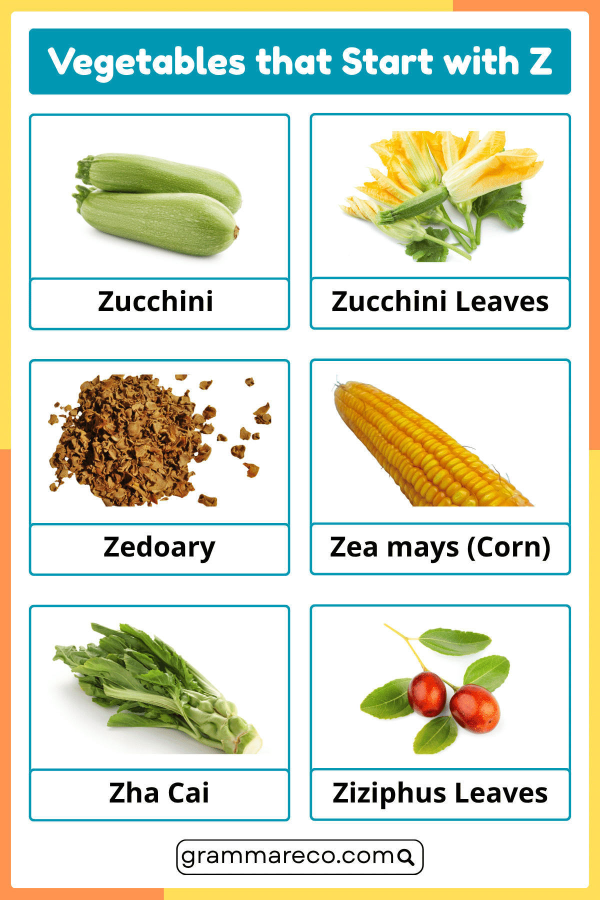 Z Vegetables Names