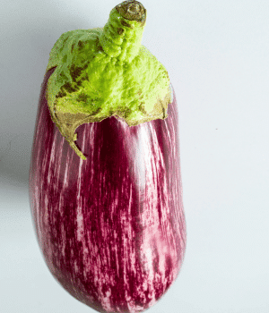 Zebra Eggplant - Vegetables that start with Z