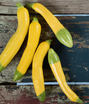 Zephyr Squash - Vegetables that start with Z