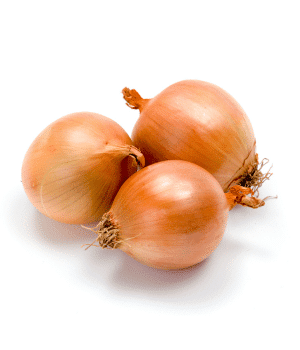 Yellow Onion - Bulb Vegetables and their Pictures