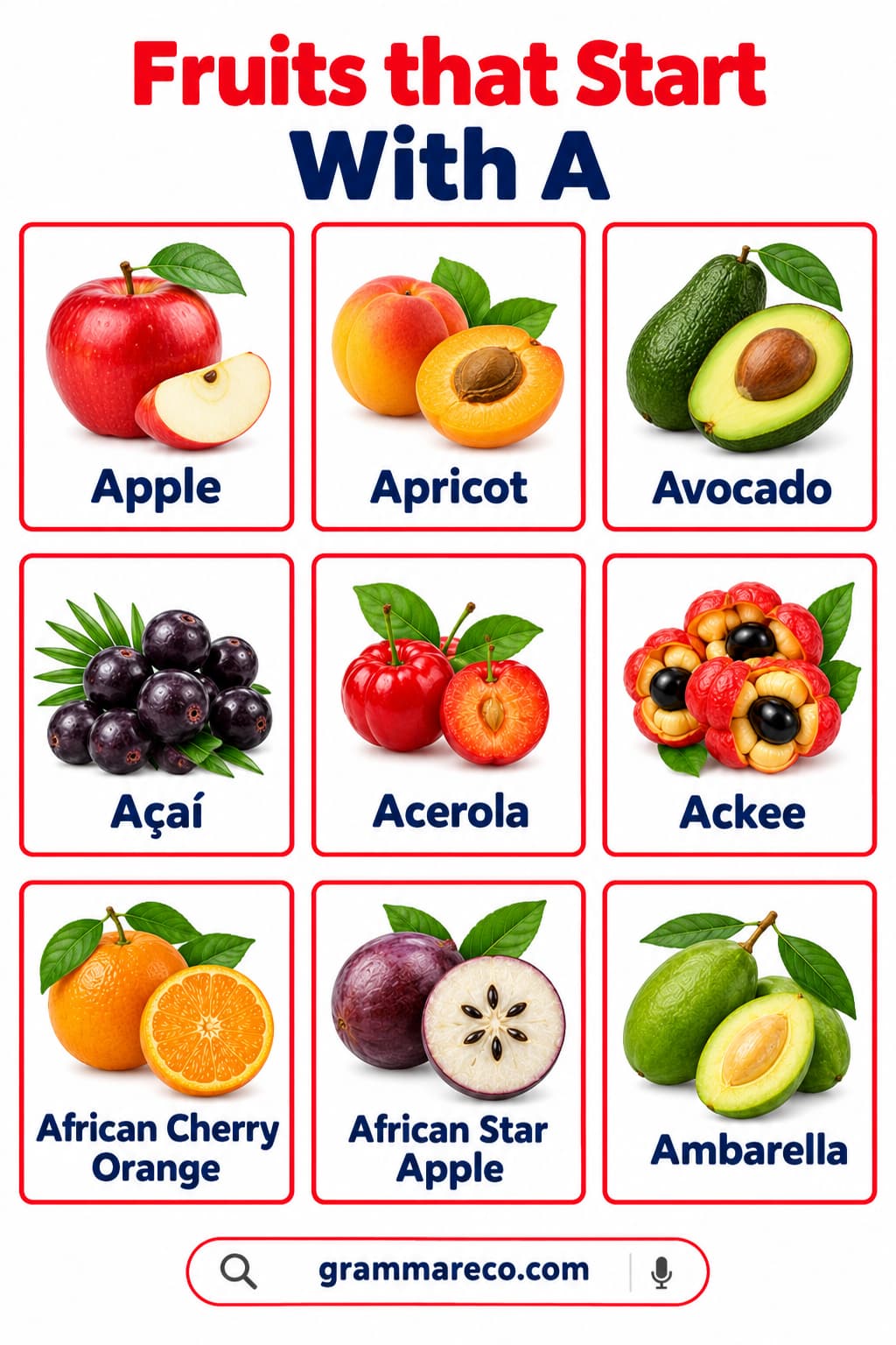 List of 46 Fruits that Start with A with Pictures, Names