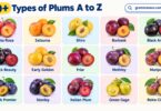 70+ Types of Plums A to Z with Pictures: Guide to Plum Varieties