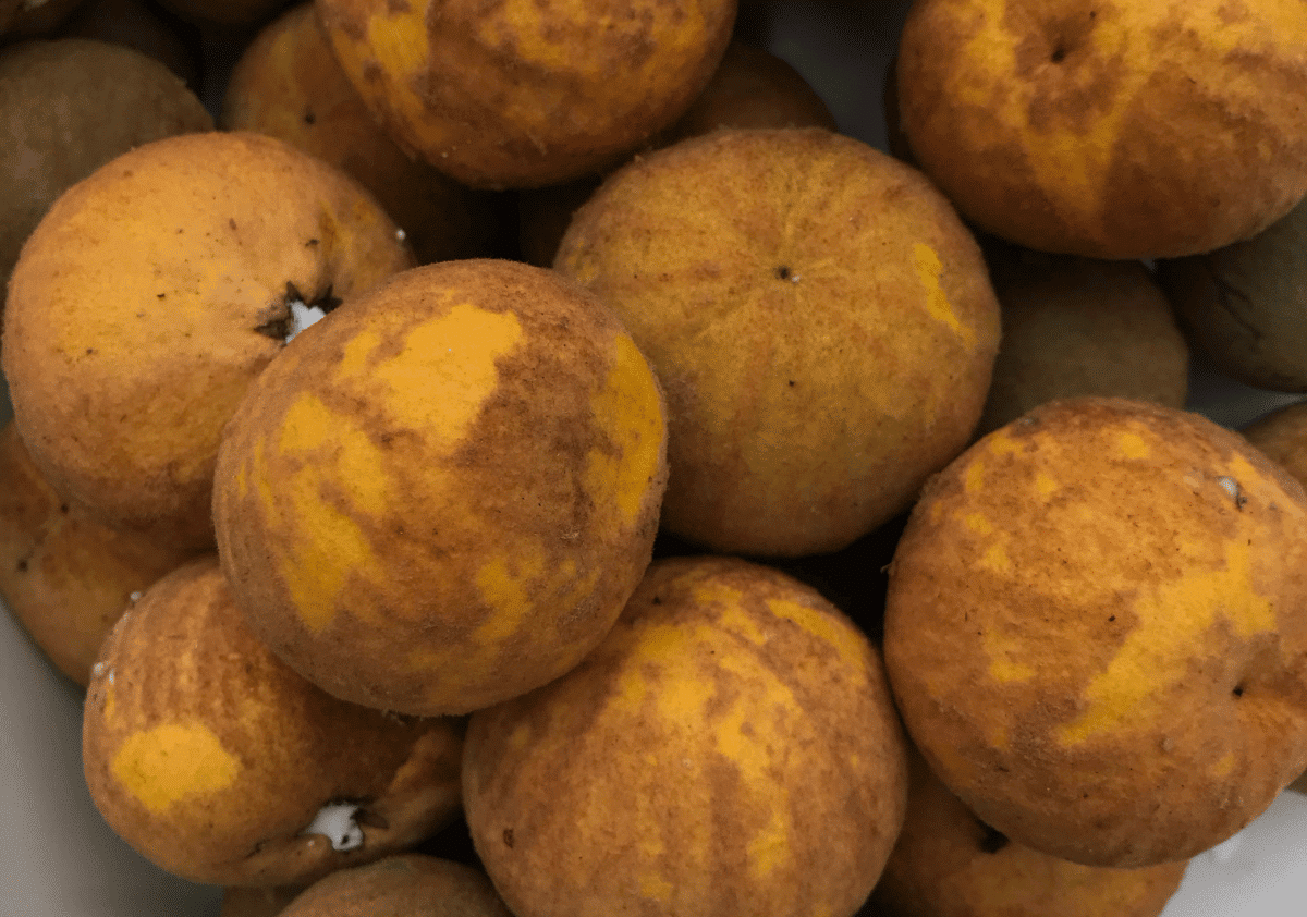 Abiu - Fruit Starting with A