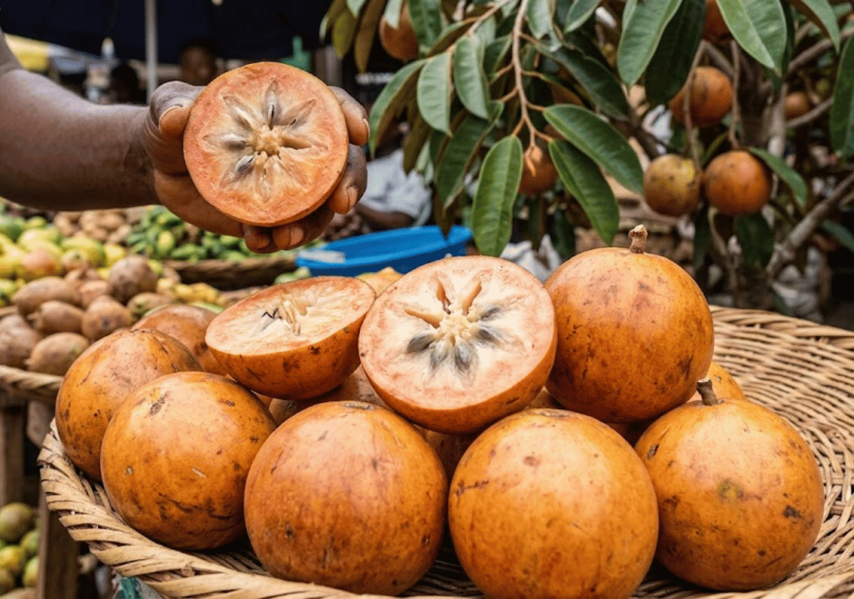 African Star Apple - Fruits that Start with A