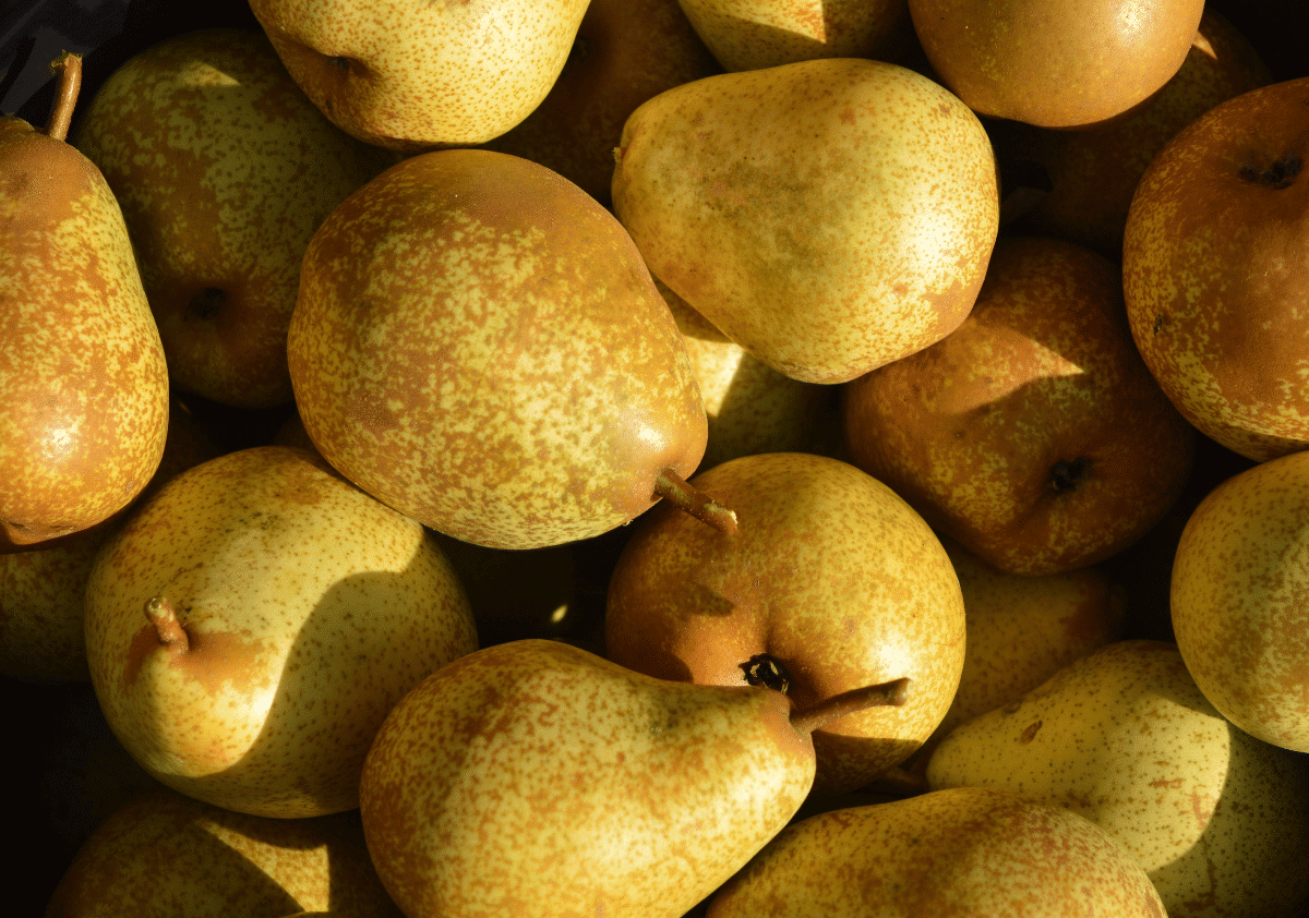 Asian Pear Fruit Starting with A