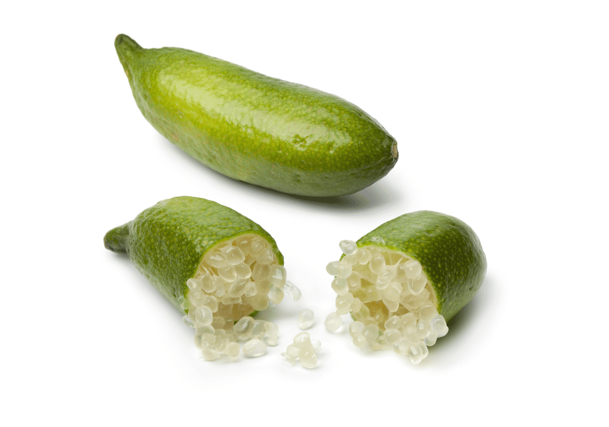 Australian Finger Lime