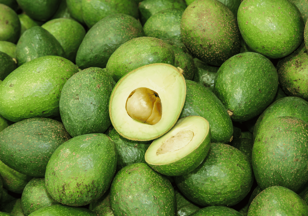 Avocado - Fruits that Start with A