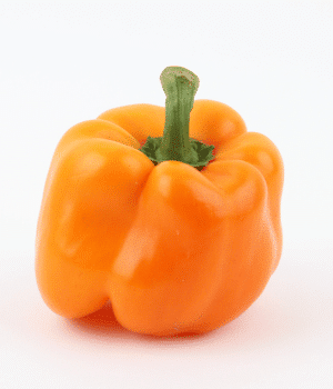 Bell Pepper