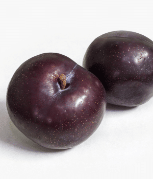 Black Beauty Plum