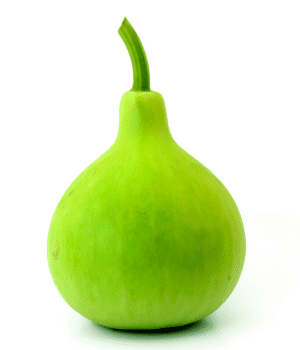 Bottle Gourd