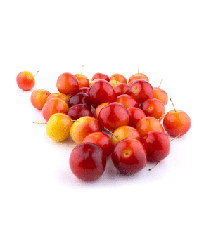 Cherry Plum - Types of Plums