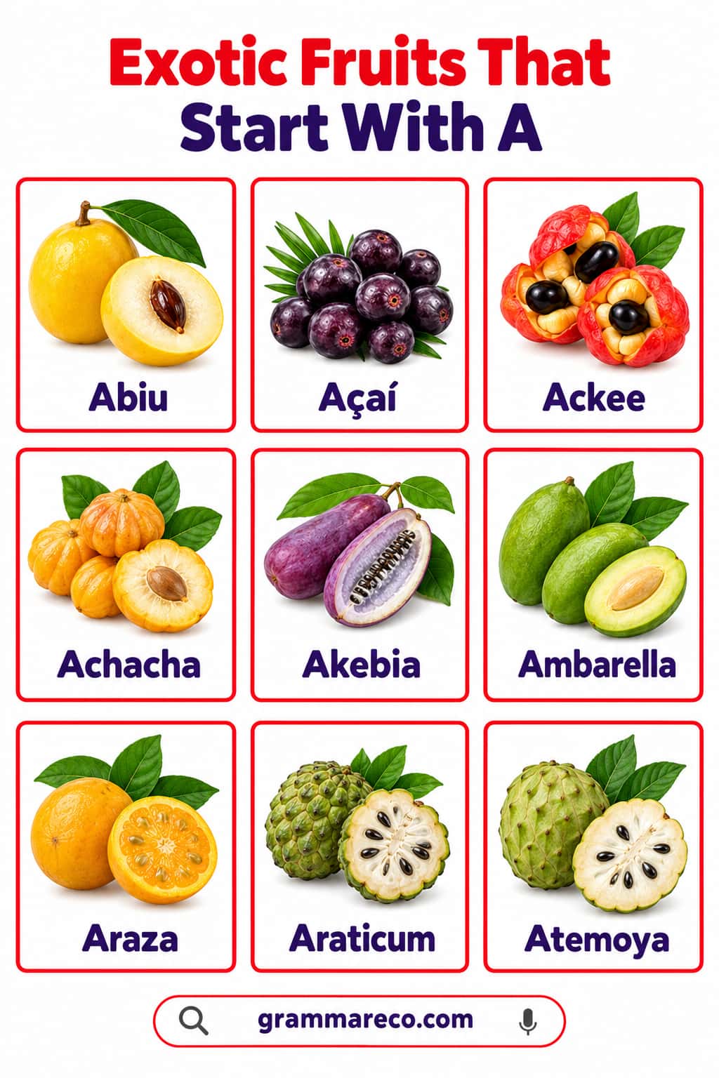 Exotic Fruits That Start With A with Pictures