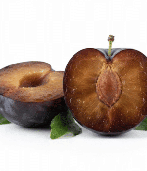 Friar Plum - Types of Plum Varieties