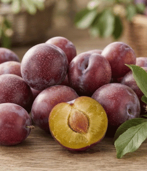 Lombard Plums - Types of Plum