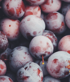 Prune Plum - Types of Plums