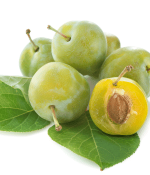 Reine Claude Plums