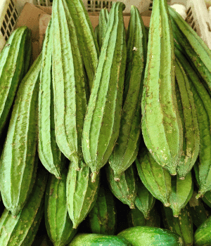 Ridge Gourd - Fruit Vegetables with Pictures