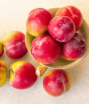 Santa Rosa Plum