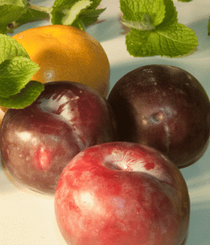 Satsuma Plum