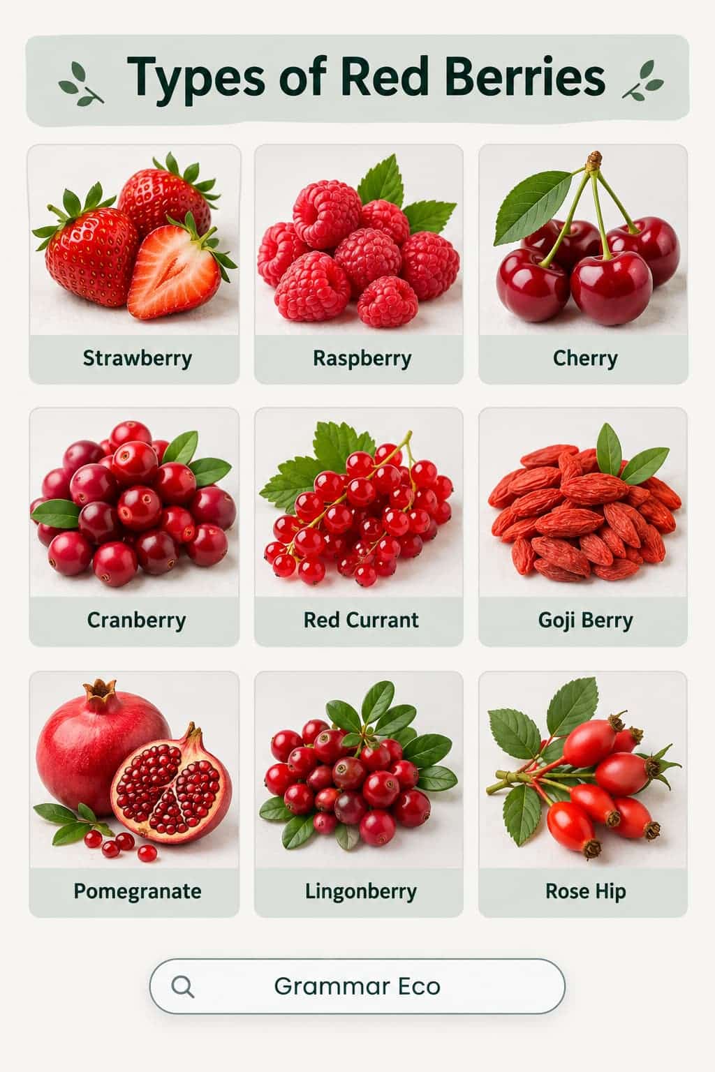 Types of Red Berries With Names and Pictures