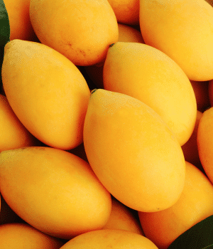 Yellow Egg Plums