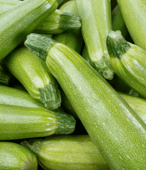 Zucchini - Fruit Vegetables with Pictures